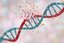 Повреждение молекул красной ДНК, концептуальная иллюстрация генетического расстройства . — стоковое фото