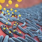 3D Illustration von Antibiotika, die Bakterien zerstören. — Stockfoto