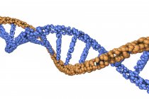 ADN coloré double hélice molécule sur fond blanc, illustration numérique
. — Photo de stock