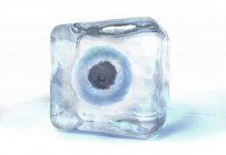 3d иллюстрация яйцеклетки, замороженной в кубик льда . — стоковое фото