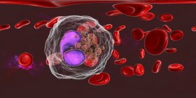 Illustration panoramique d'un vaisseau sanguin avec éosinophilie avec de nombreux éosinophiles globules blancs, système immunitaire anti-parasitaire
. — Photo de stock