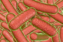 Digitale Illustration der stabförmigen Bakterienkolonie. — Stockfoto
