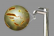 Konzeptionelle Illustration mit Bakterien vibrio cholerae in Wassertropfen aus dem Wasserhahn. — Stockfoto