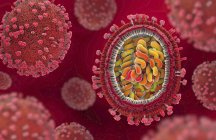 3D ілюстрація патогена грипу в поперечному перерізі. — стокове фото