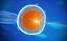 3d ilustración de la fertilización in vitro de óvulos . - foto de stock