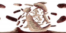 Bactéries Enterobacteriaceae, illustration numérique avec panorama à 360 degrés . — Photo de stock