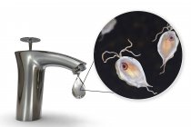 Концептуальна цифрова ілюстрація, що показує паразитів п'ятирічних гомінідів у краплі води з брудного крана . — стокове фото