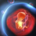 Konzeptionelle 3D-Illustration ungeborener genetisch veränderter Föten, die in einer transparenten Blase mit Dna-Strang gefangen sind. — Stockfoto