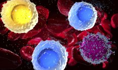 3d иллюстрация лейкоцитов белых кровяных телец в организме человека . — стоковое фото