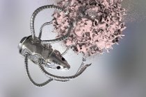 Conceptual digital illustration of medical nanorobot attacking cancerous cell. — Stock Photo