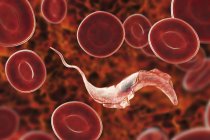 Digitale Illustration des Trypanosom-Parasiten im Blut, der die Chagas-Krankheit verursacht. — Stockfoto
