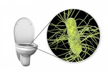 Flush toalete micróbio na superfície contaminada, ilustração digital conceitual sobre fundo branco . — Fotografia de Stock