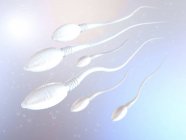 Ilustração 3d de células de esperma humano no processo reprodutivo . — Fotografia de Stock