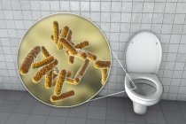 Toilettenmikroben auf verunreinigter Sitzfläche im Wasserschrank, konzeptionelle digitale Illustration. — Stockfoto