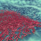 3D ілюстрація фіолетовий бактерій на синій поверхні. — стокове фото