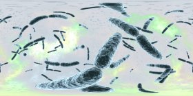 Lactobacillus bacteria, ilustración digital con panorama de 360 grados . - foto de stock