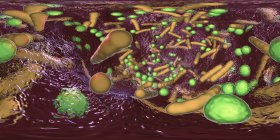 Сферические и стержневидные бактерии внутри биопленки, 360-градусная панорама, цифровая иллюстрация . — стоковое фото