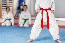Garçon avec ceinture rouge posant en position dans la classe de taekwondo . — Photo de stock