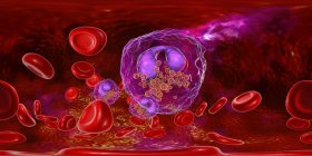 Панорамная иллюстрация кровеносных сосудов с эозинофилией с многочисленными эозинофилами белые кровяные тельца, антипаразитная иммунная система
. — стоковое фото