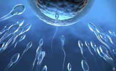 Ilustração 3d de espermatozóides transparentes nadando em direção a óvulos . — Fotografia de Stock