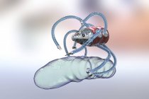 Digital illustration of nanorobot carrying rod-shaped bacterium. — Stock Photo