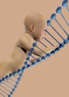 Baby and DNA strand, digital conceptual illustration. — Stock Photo