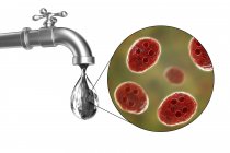 Концептуальная цифровая иллюстрация, показывающая кишечных паразитов Джардии в капле воды из грязного крана . — стоковое фото