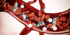 Цифрова ілюстрація паразитів трипільської крові в кровоносних судинах, що спричиняє хворобу Чагаса. — стокове фото