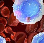 3d ілюстрація лейкоцитів білих кров'яних клітин в організмі людини . — стокове фото