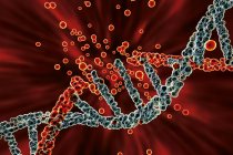Dano da molécula de DNA vermelho colorido, ilustração conceitual do distúrbio genético . — Fotografia de Stock