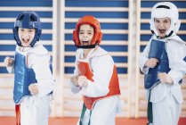 Children in Taekwondo fighting stance. — Stock Photo