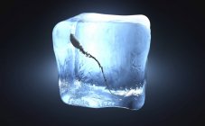 Illustrazione 3d della cellula spermatica congelata nel cubo di ghiaccio . — Foto stock