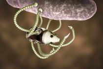Digitale Illustration eines Nanoroboters mit stäbchenförmigem Bakterium. — Stockfoto