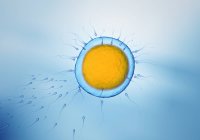 Sperm spermatozoa swimming towards egg cell, colored digital illustration. — Stock Photo