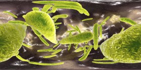 Цифровая иллюстрация туберкулеза микобактерии грамположительные палочковидные бактерии, вызывающие туберкулез
. — стоковое фото