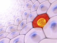 3D-Illustration von ausgerichteten Zellen mit roter Zelle in der Mitte. — Stockfoto