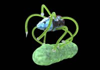 Цифрова ілюстрація нанороботів з стрижнеподібної бактерією. — стокове фото