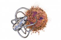 Концептуальная цифровая иллюстрация того, что медицинский наноробот атакует раковые клетки . — стоковое фото