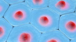 Ilustración en 3D de primer plano del patrón de células azules con núcleos rojos . - foto de stock