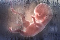 Avortement du fœtus humain, illustration numérique conceptuelle . — Photo de stock