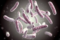 Цифрова ілюстрація шатуподібної бактерії колонія. — стокове фото
