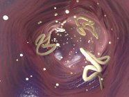 3d иллюстрация заражения ленточных червей в кишечнике человека . — стоковое фото