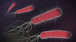 Ilustración 3d de bacterias en forma de barra roja . - foto de stock