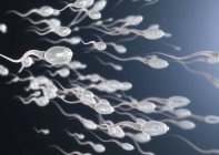 Illustration 3D de spermatozoïdes humains en processus de reproduction . — Photo de stock