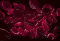 3d иллюстрация эритроцитов эритроцитов красных кровяных телец
. — стоковое фото