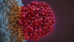 Ilustración 3d de células rojas coloreadas del cáncer del cerebro que conectan al tejido . - foto de stock