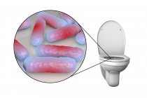 Microbios del asiento del inodoro, ilustración digital conceptual . - foto de stock
