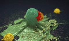 Illustration 3D de cellules cancéreuses attaquées et tuées par des lymphocytes . — Photo de stock