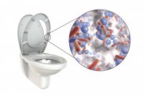 Microbios del asiento del inodoro, ilustración digital conceptual
. - foto de stock