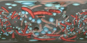 Сферична і стрижкоподібна бактерії всередині біоплика, 360 ступеня Панорама, цифрова ілюстрація. — стокове фото